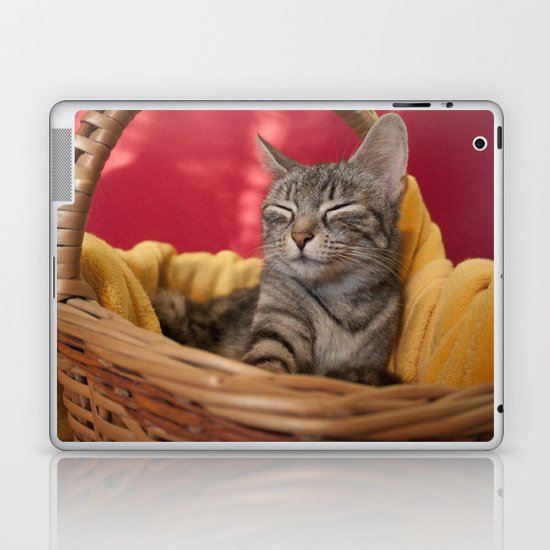 Cat photography Laptop & iPad Skin