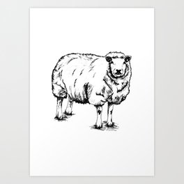 Sheep Sheep. Art Print