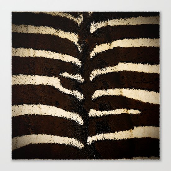 Zebra Canvas Print