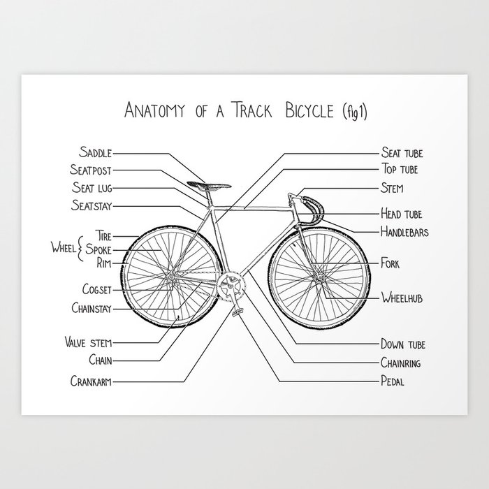 Anatomy of a Track Bicycle (fig 1) Art Print