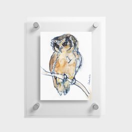 Little Owl, Watercolor Floating Acrylic Print