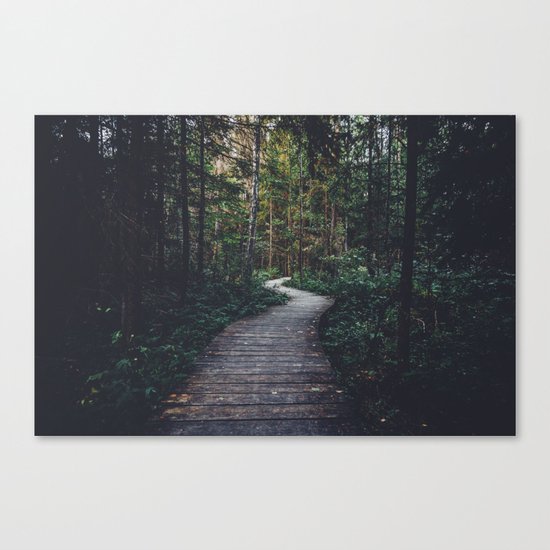 Path Unknown Canvas Print