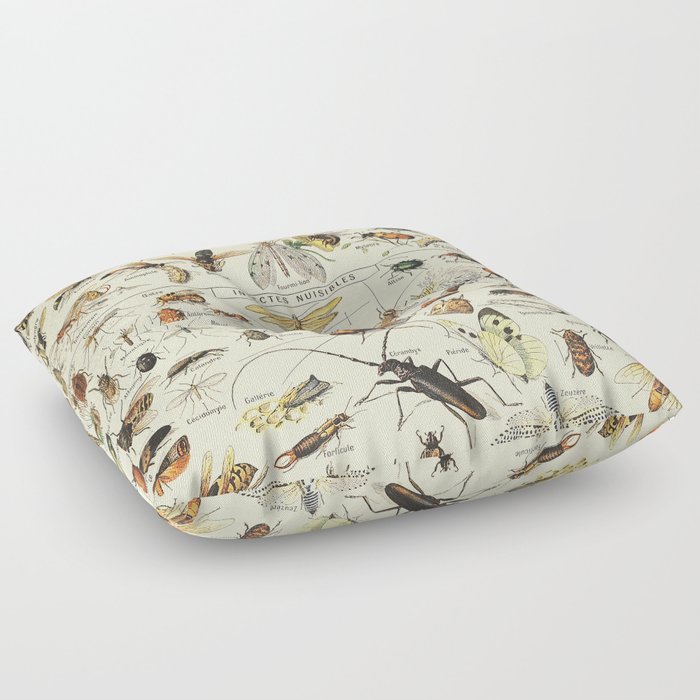 Insect Vintage Science Chart Floor Pillow