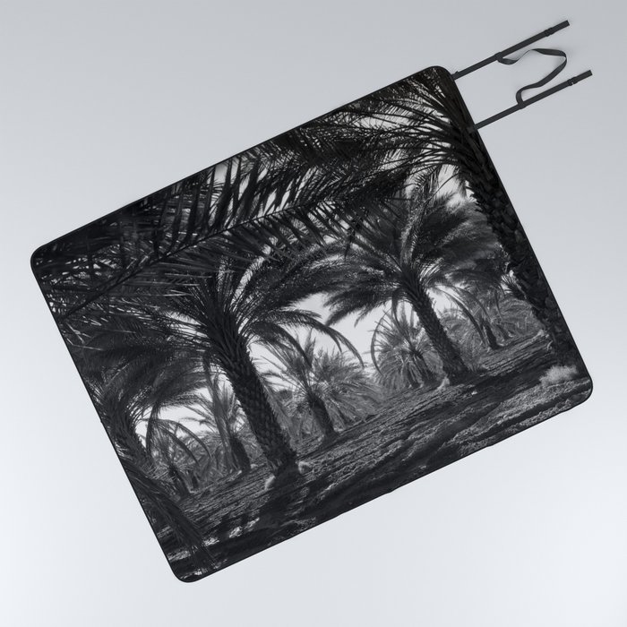  Date palms, Coachella Valley, California palm tree nature portrait tropical black and white photograph - photography - photographs Picnic Blanket