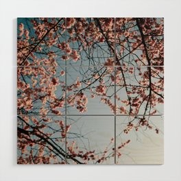 Backlit pink japanese cherry blossom tree meets blue sky/ floral print Wood Wall Art