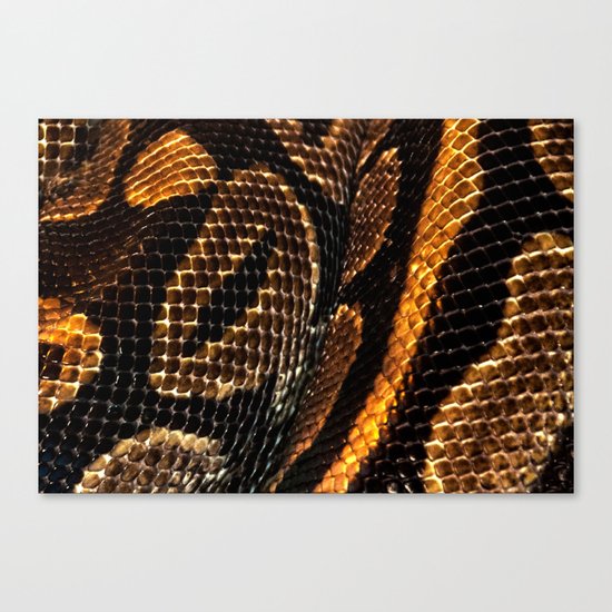 SNAKING Canvas Print