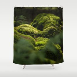 Forest Calm Shower Curtain