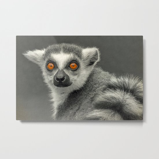 LEMUR PORTRAIT Metal Print