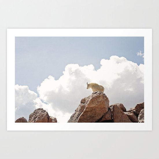 mountain goat Art Print