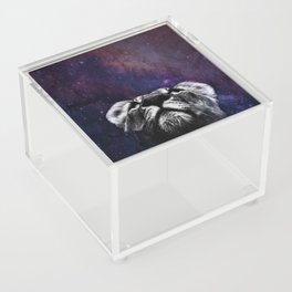 Galaxy Lion Acrylic Box