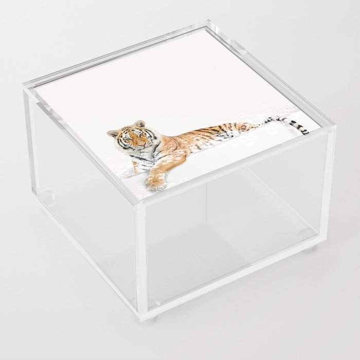 Tiger in a Bathtub, Tiger Taking a Bath, Tiger Bathing, Whimsy Animal Art Print By Synplus Acrylic Box