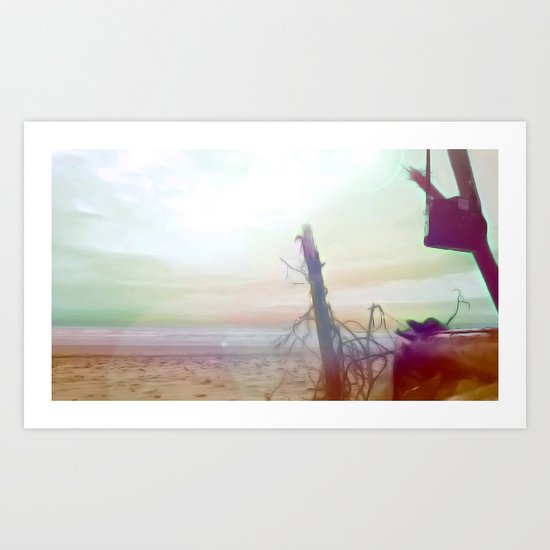 Driftwood Beach Art Print