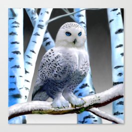 Blue-eyed Snow Owl Canvas Print