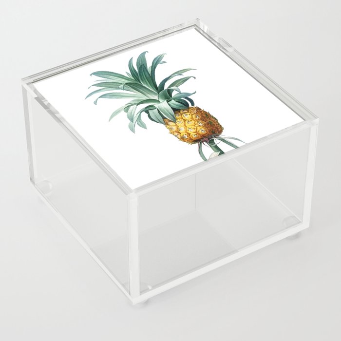 Vintage Pineapple Botanical Illustration on Pure White Acrylic Box