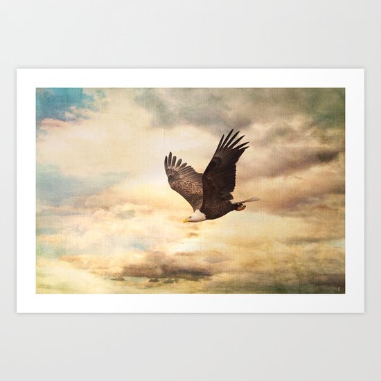 Early Evening Flight Art Print