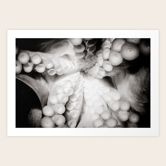 Giant Octopus Art Print