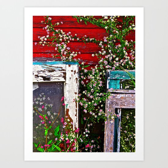 Window Flowers Art Print
