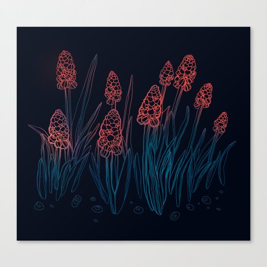 Hyacinths in the night Canvas Print