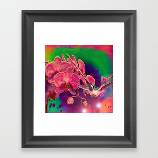 Hummingbird Framed Art Print