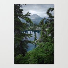 Alpine Wilderness  Canvas Print
