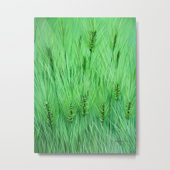 Green wheat Metal Print