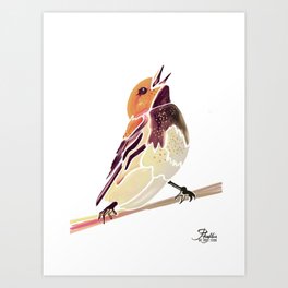 Watercolor Song bird // Wildlife Yellow Meadow Lark // White Background Art Print