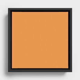 Mandarin Rind Framed Canvas