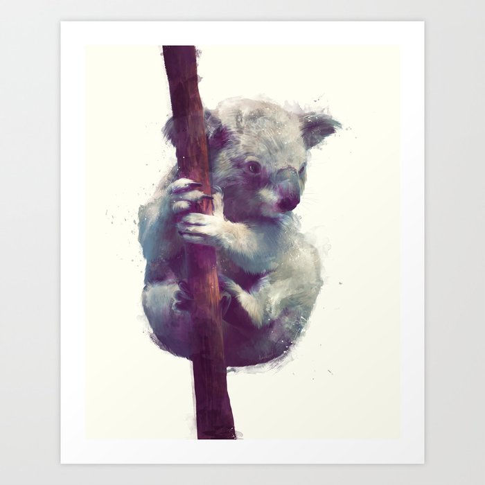 Discover the motif KOALA by Amy Hamilton as a print at TOPPOSTER