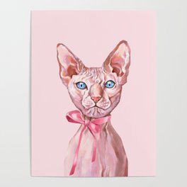 Gorgeous Sphynx Cat Poster