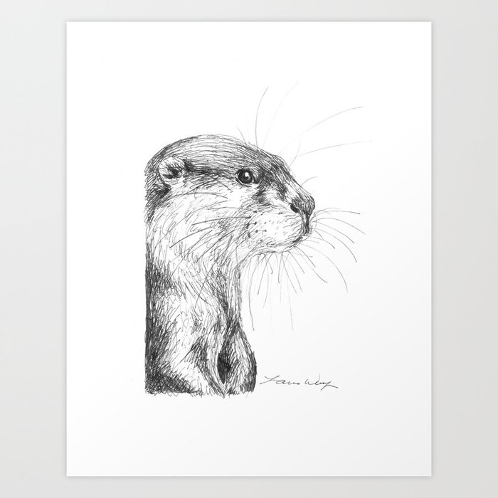 otter drawing
