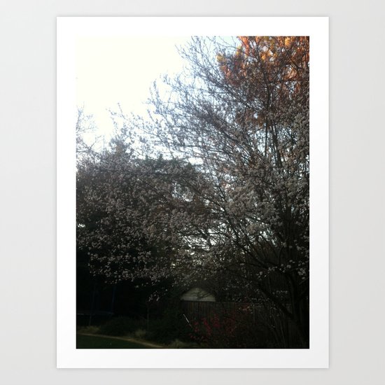 Photography Art Print