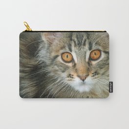 KITTEN DELIGHT Carry-All Pouch | Nature, Cute, Pedigreecats, Color, Animal, Photo, Kittens, Mainecooncats, Kitties, Catportraits 
