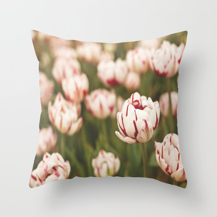 Candy Tulips Throw Pillow