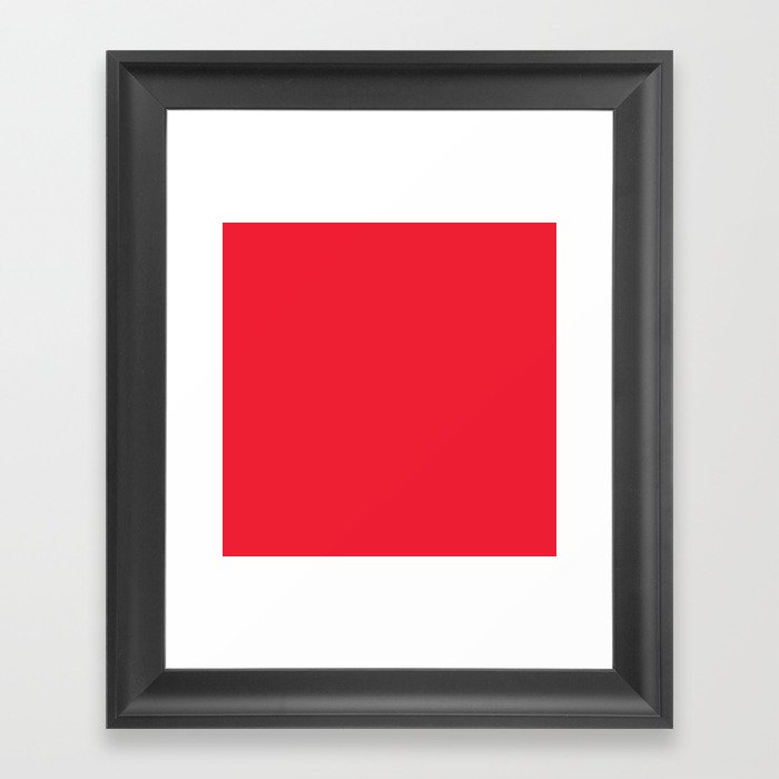 Monarda Red Framed Art Print