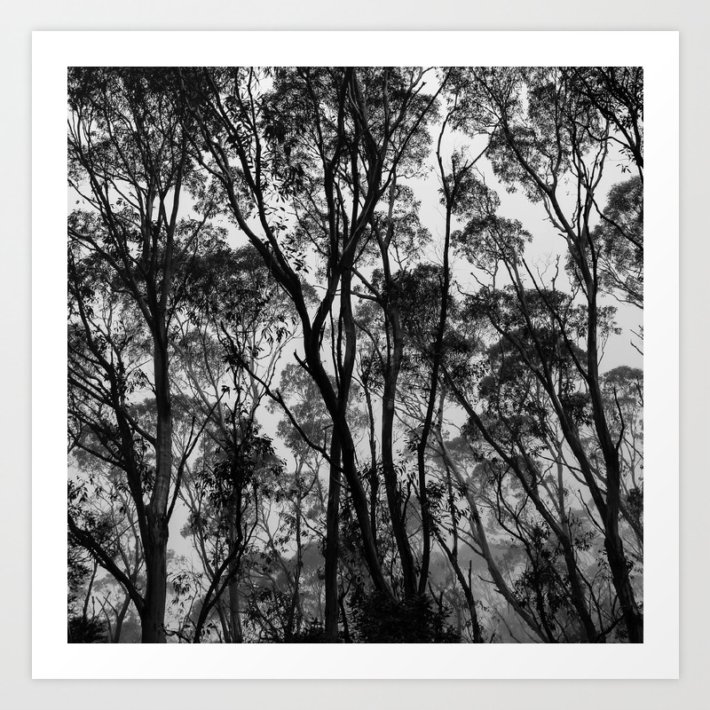 Forest Silhouette Art Print By Kitsmumma Society6