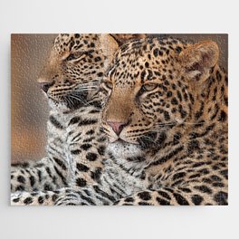 South Africa Photography - Two Beautiful Leopards Jigsaw Puzzle