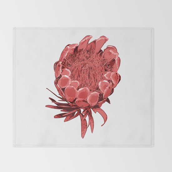 Australian Native Floral Illustration Beautiful Protea Flower Throw Blanket By Annaleebeer Society6