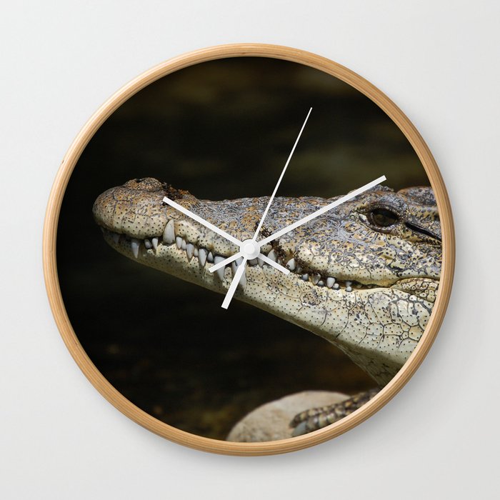 Crocodile  Wall Clock