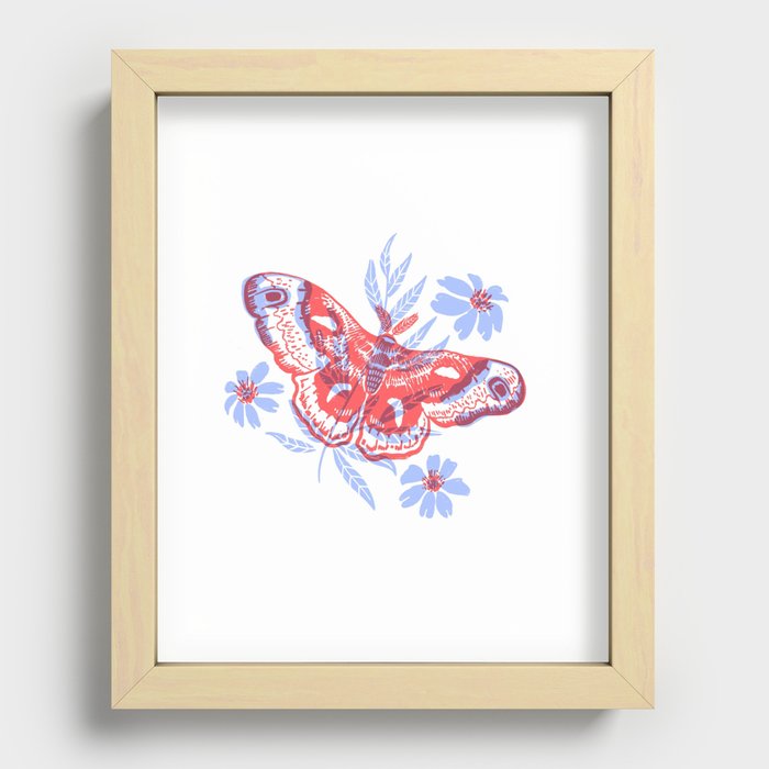 Cecropia Moth Recessed Framed Print