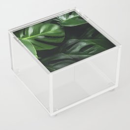 Exotic Jungle Leaves Acrylic Box