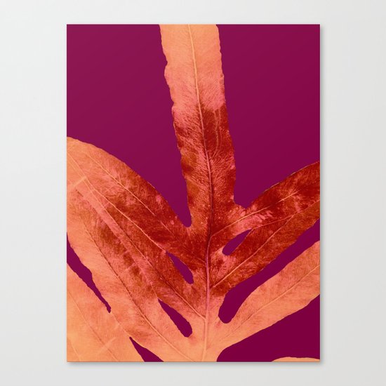 Red Wine Winter Nights, Romance Canvas Print