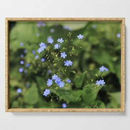 Forget-me-not Serving Tray