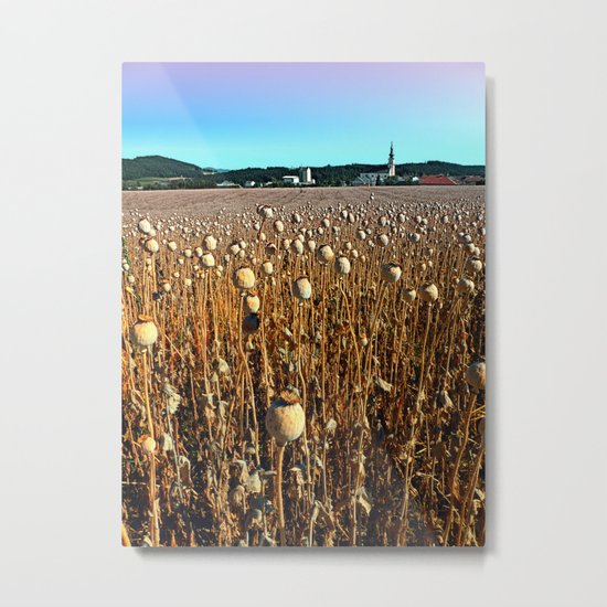 Poppy fields with a sunburn Metal Print
