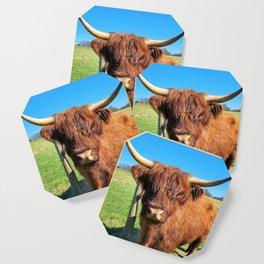 Dolly Scottish Highland Cow Coaster