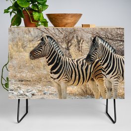 South Africa Photography - Two Zebras Standing On A Dirt Road Credenza