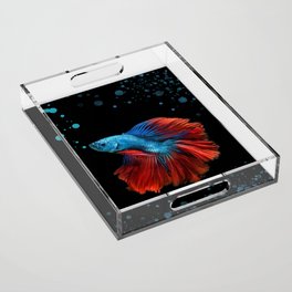 Beautiful betta fish glory Acrylic Tray