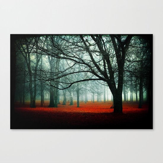 Enter Canvas Print