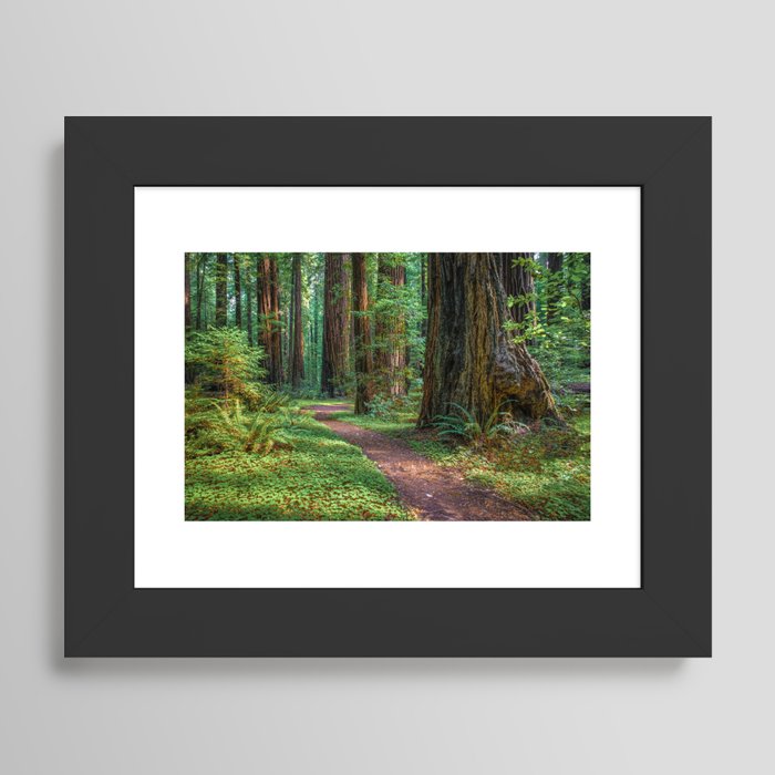 Framed Art Print