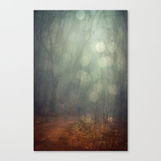 Diamond Rain Canvas Print