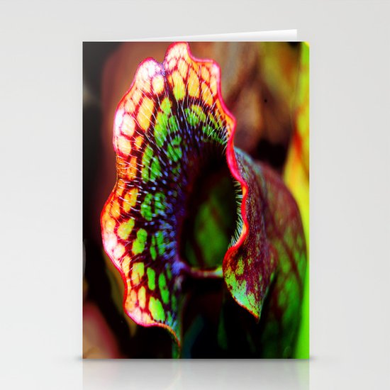 Air plant Stationery Cards